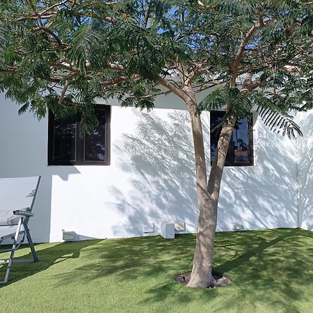 Cozy Colorado Pool View #3 Lägenhet Maspalomas  Exteriör bild