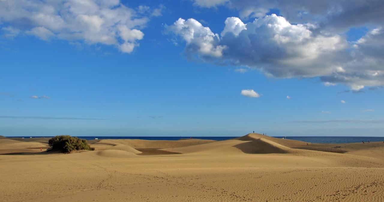Cozy Colorado Pool View #3 Lägenhet Maspalomas  Exteriör bild